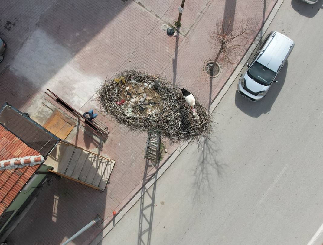 Karataylı leylekler yuvalarına döndü 4